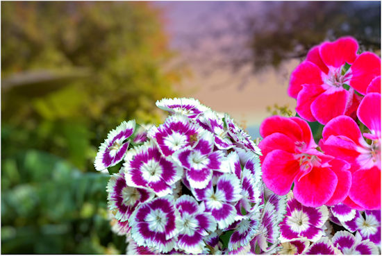 trim park by alex Cummings